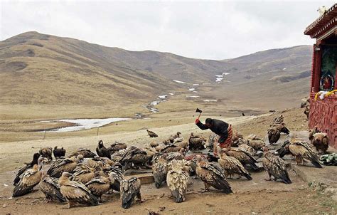 天葬|Sky burial